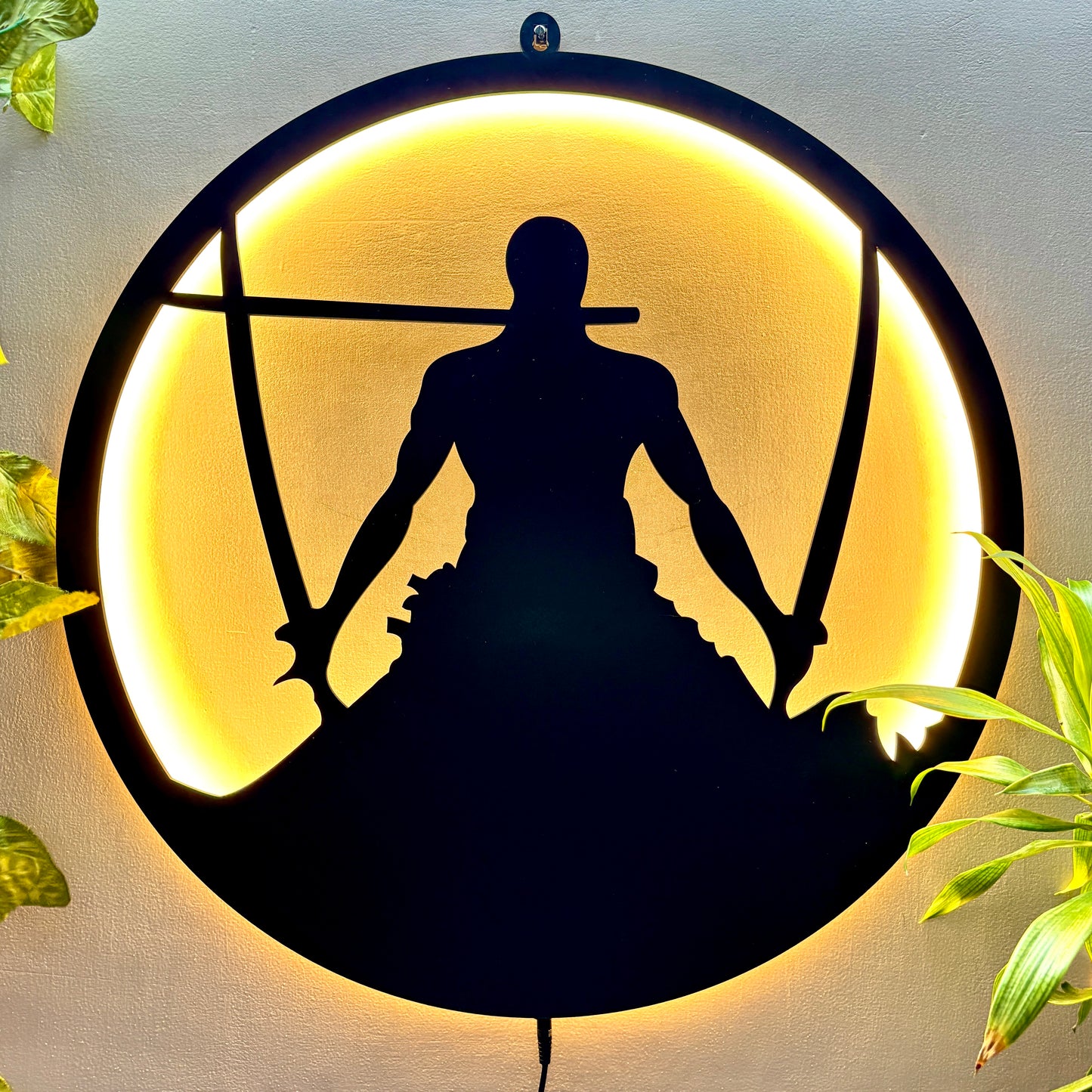 Zoro 3D Illuminator